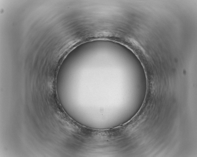 X0000089421217200706291024