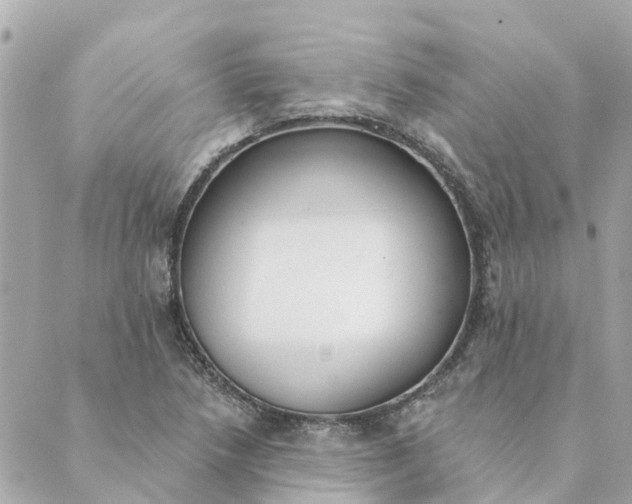 X0000089421218200706291024