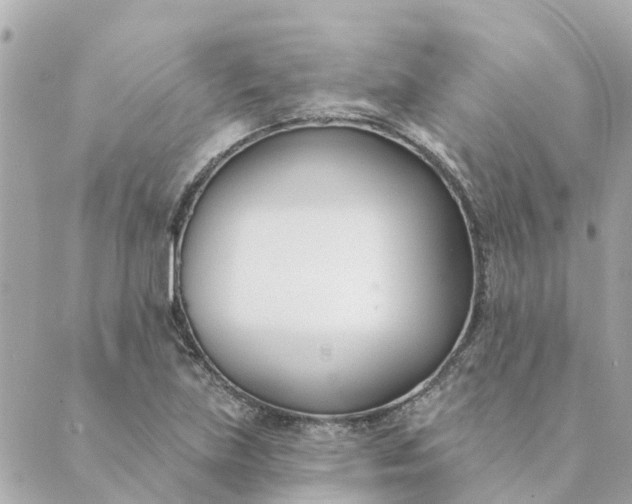 X0000089421219200706291024