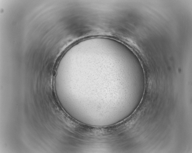 X0000089421220200706291024