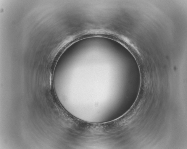 X0000089421221200706291024