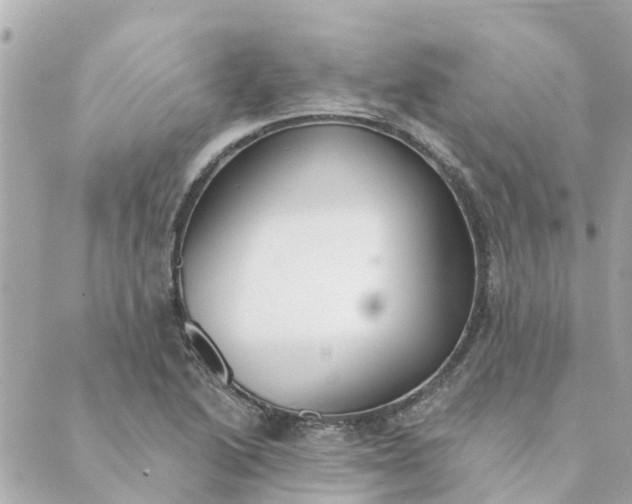 X0000089421222200706291024