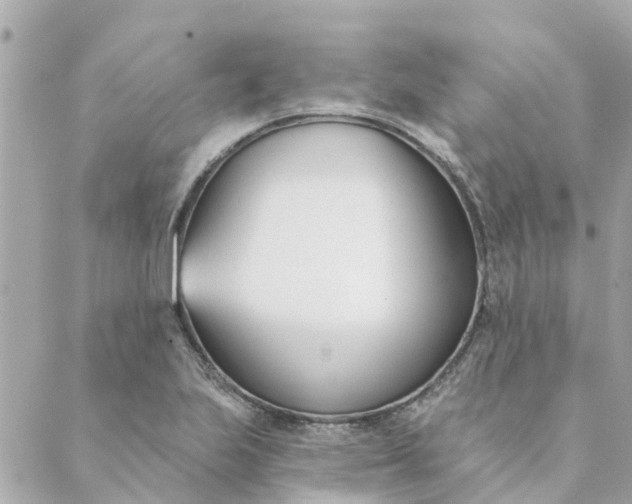 X0000089421223200706291024