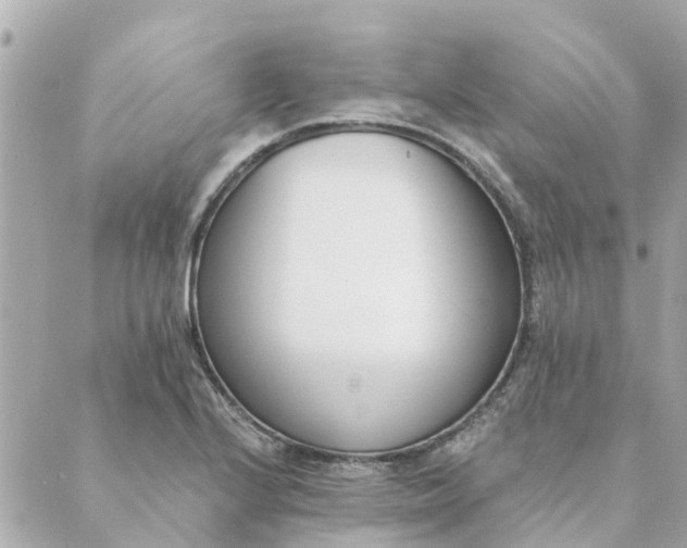 X0000089421224200706291024