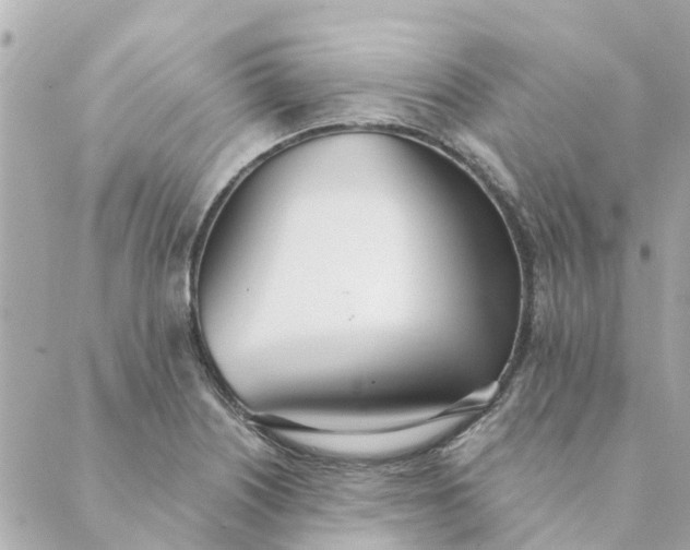 X0000089421226200706291025