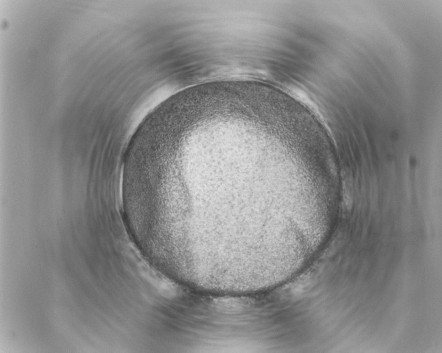 X0000089421227200706291025