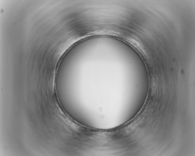 X0000089421228200706291025