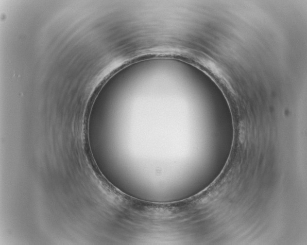 X0000089421229200706291025