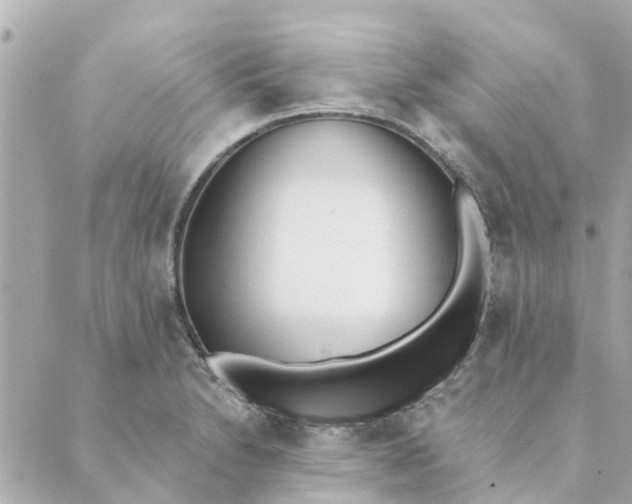 X0000089421230200706291025