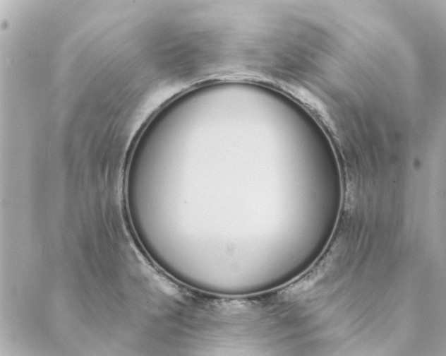 X0000089421231200706291025