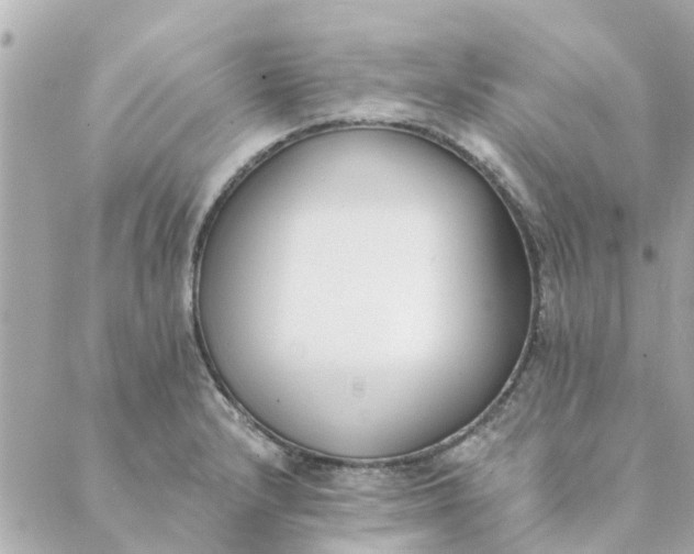 X0000089421232200706291025