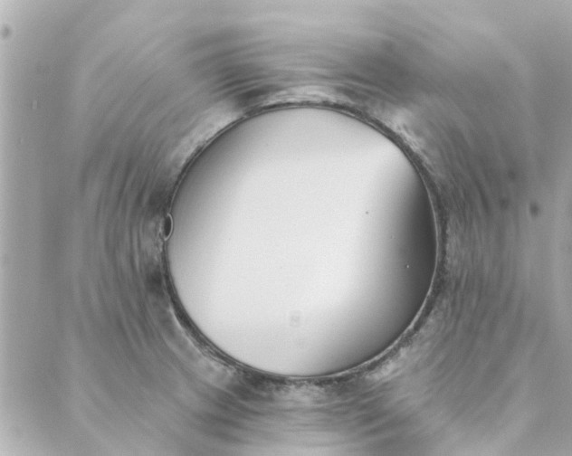 X0000089421233200706291025