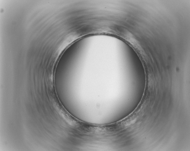 X0000089421234200706291025