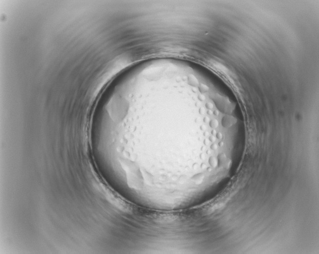 X0000089421235200706291025