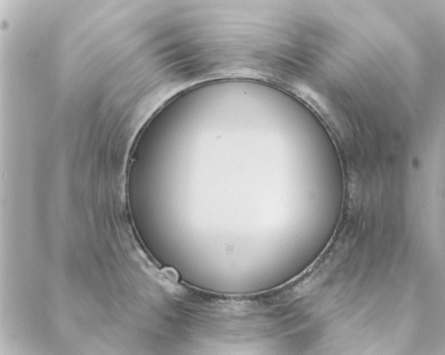 X0000089421236200706291025