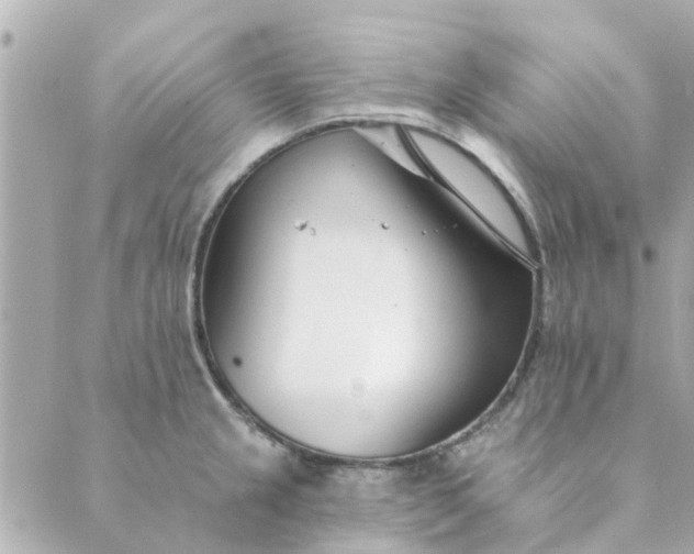 X0000089421237200706291025