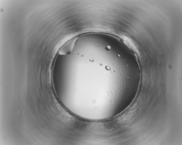 X0000089421238200706291025