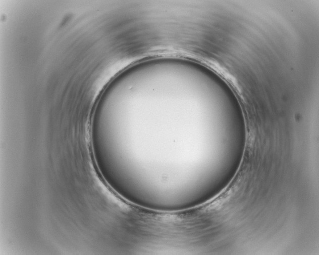 X0000089421239200706291025