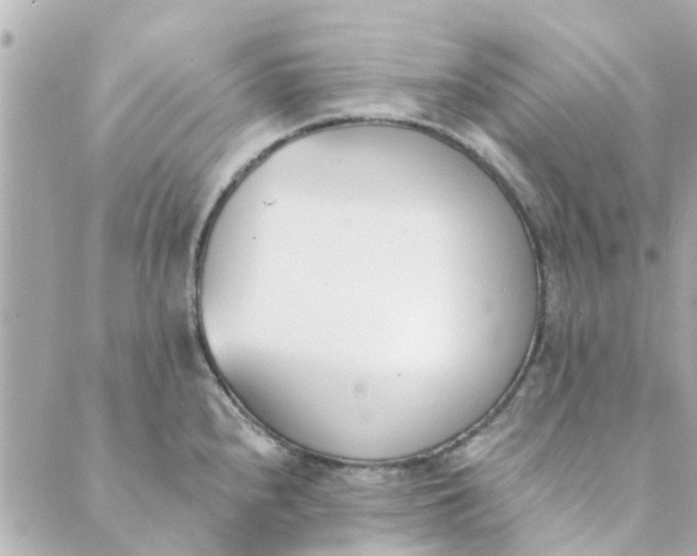 X0000089421240200706291025