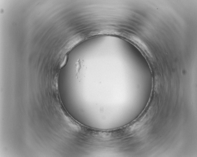 X0000089421241200706291025