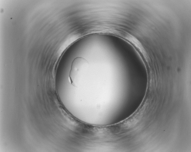 X0000089421242200706291025