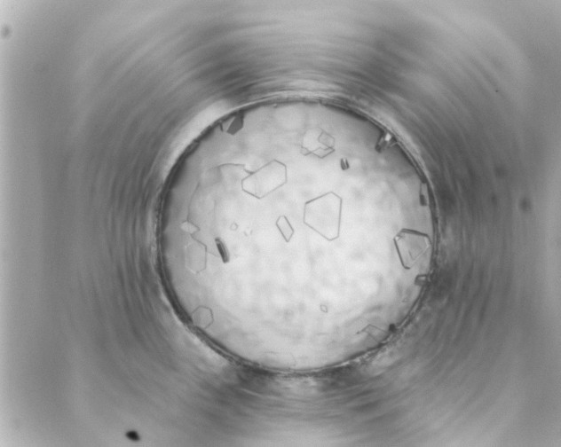 X0000089421243200706291025