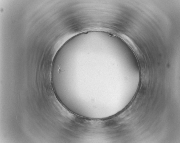 X0000089421244200706291025