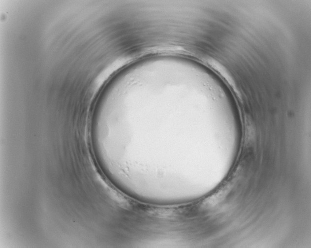 X0000089421245200706291025