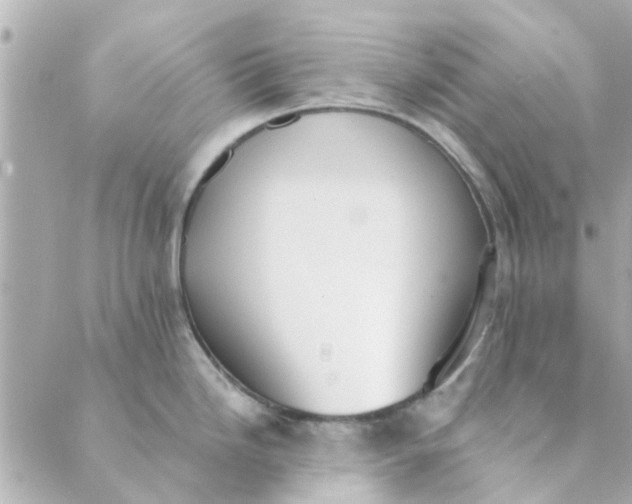 X0000089421246200706291025