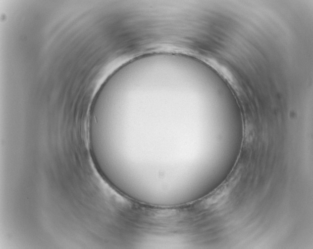 X0000089421247200706291025