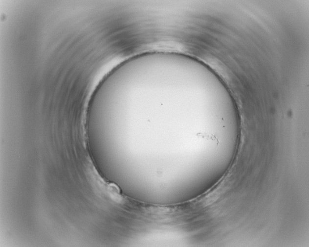 X0000089421248200706291025