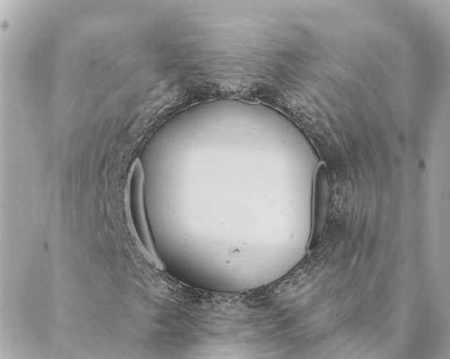 X0000089421249200706291024