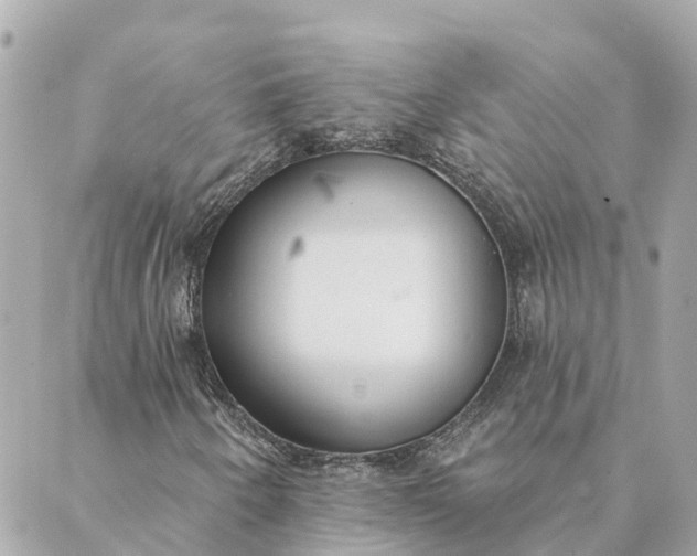 X0000089421250200706291024