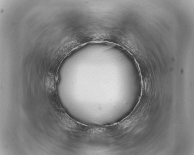 X0000089421251200706291024