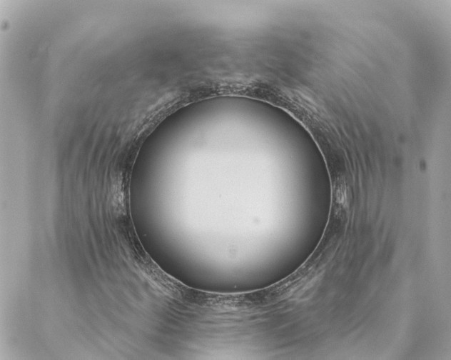 X0000089421252200706291024