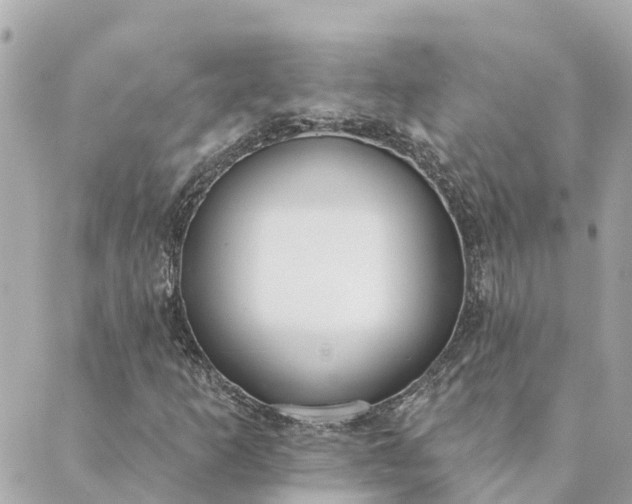 X0000089421253200706291024