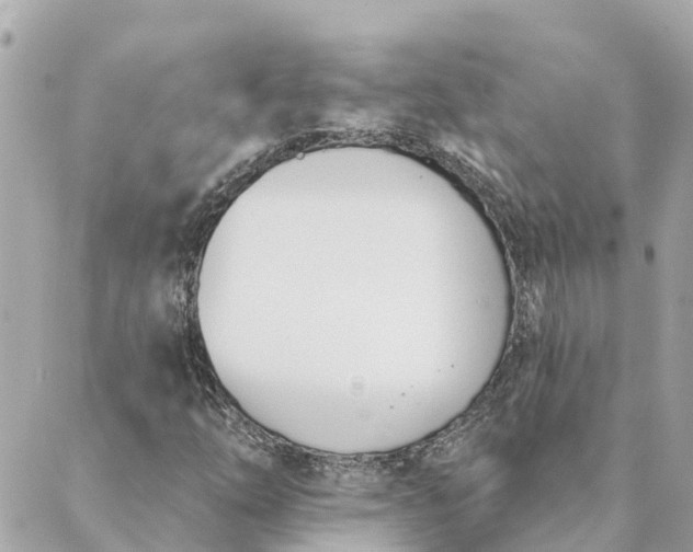 X0000089421254200706291024