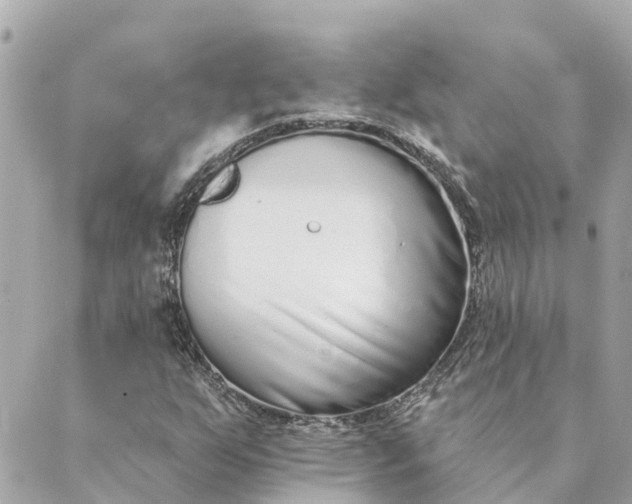 X0000089421255200706291024