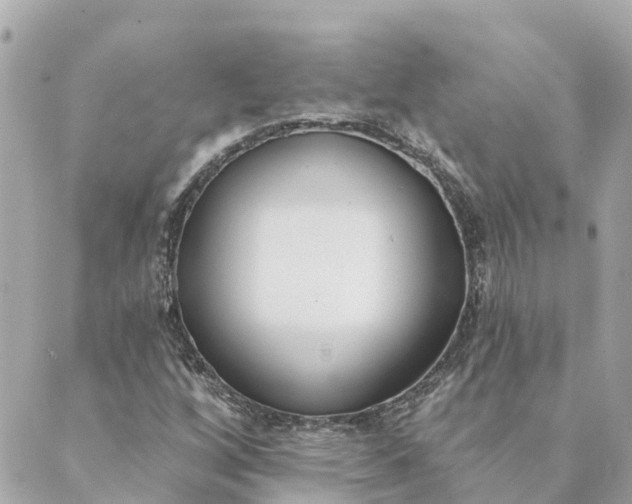 X0000089421256200706291024