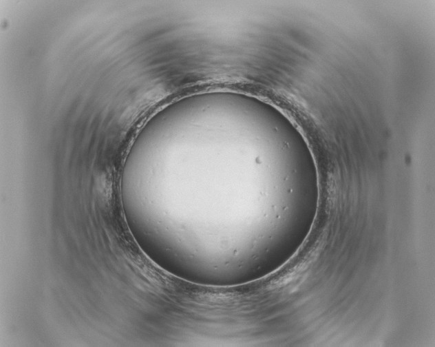 X0000089421257200706291024