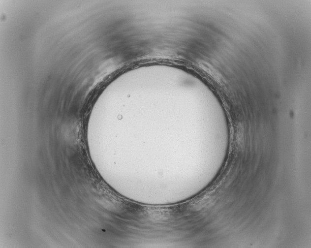 X0000089421258200706291024