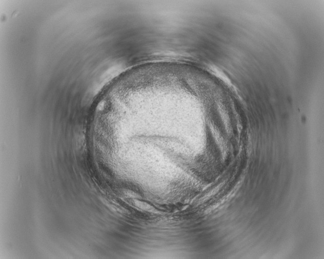 X0000089421259200706291024