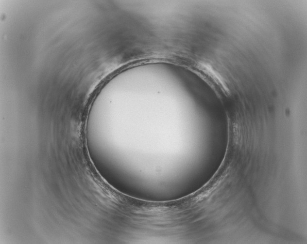 X0000089421260200706291024