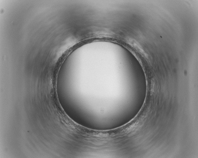 X0000089421261200706291024