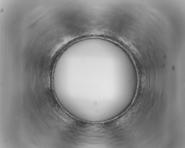 X0000089421262200706291024