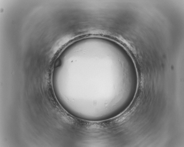 X0000089421263200706291024