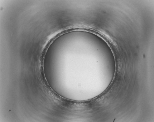 X0000089421264200706291024