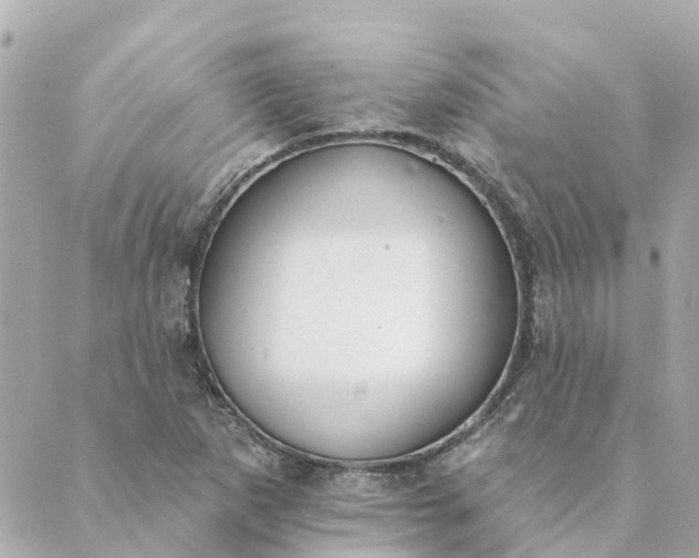 X0000089421265200706291024