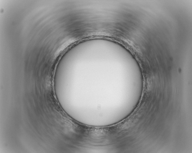 X0000089421266200706291024