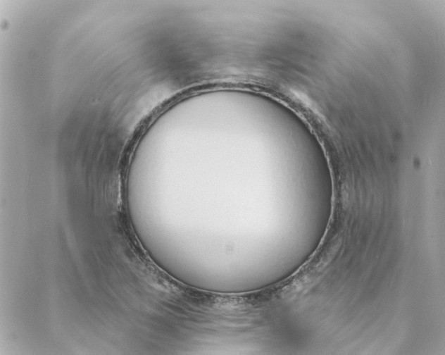 X0000089421267200706291024